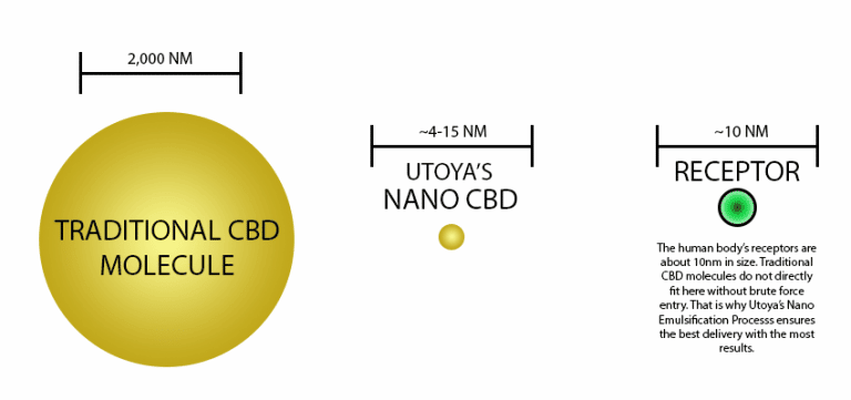 Difference Between Utoya CBD and Other CBD Molecules