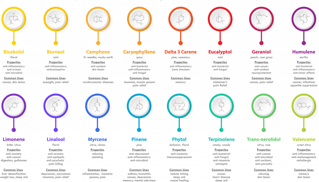 Terpene Effect Chart - How Terpenes Work - Hemp Terpenes