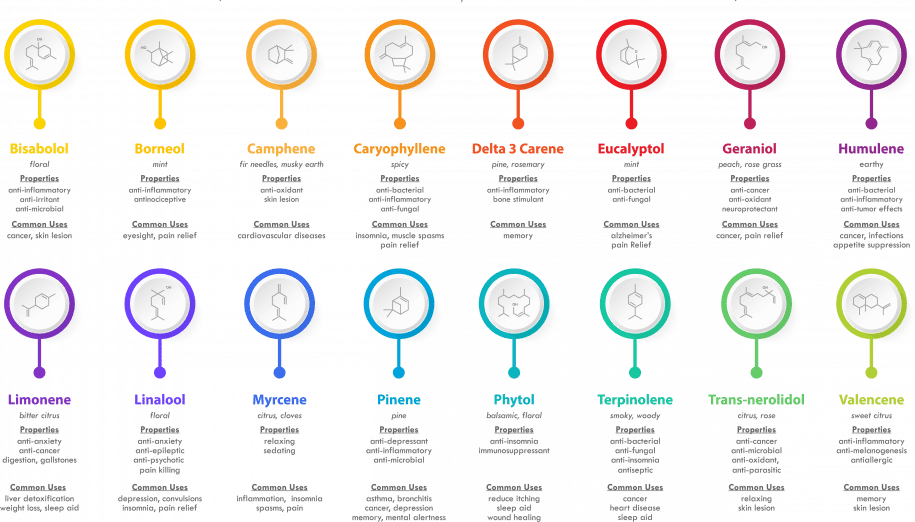 Terpenes: The Ultimate Guide To Understanding Terpenes - Utoya