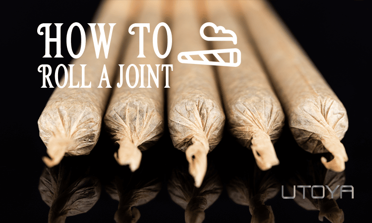 The Art Of Joint Rolling How To Roll The Perfect Joint UTOYA