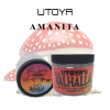 Amanita Mushroom Chocolates