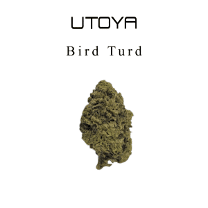 Bird Turd THCA Flower
