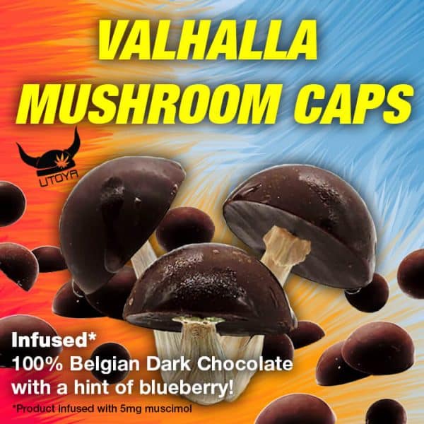 Amanita Mushroom Chocolates