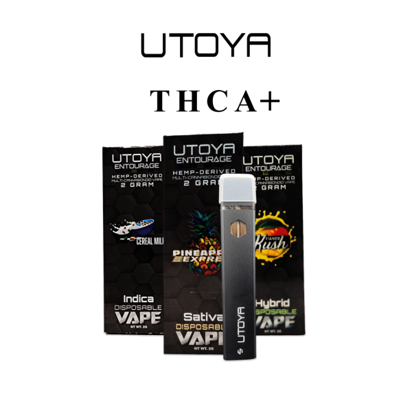 Is THCA Legal in Florida? Here’s the Answer | Utoya Organics