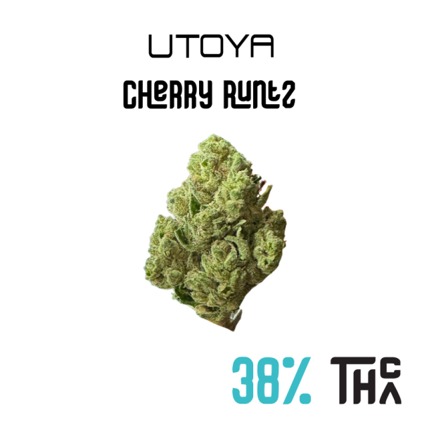 Cherry Runtz THCA Flower HighPotency Hybrid 38 THCA