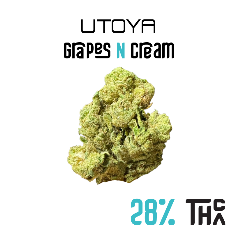 Grapes N Cream THCA Flower HighPotency Hybrid 28 THCA