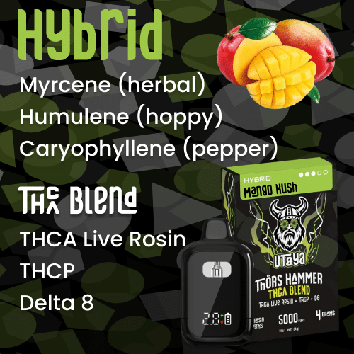 Hybrid THCA Disposable Vape