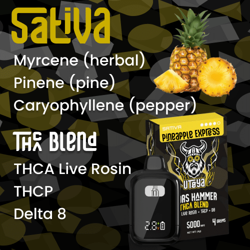 Sativa THCA Disposable Vape