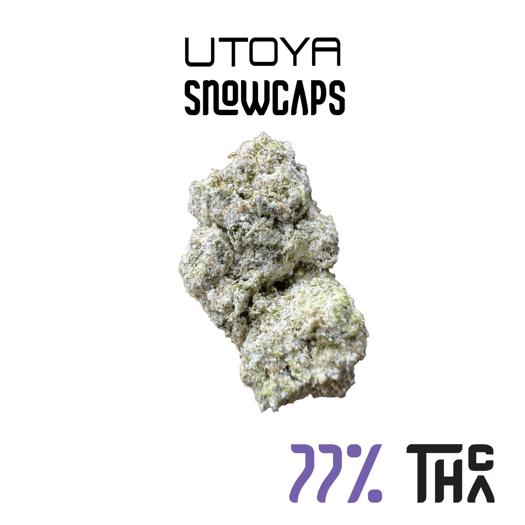THCA Snowcaps | 77% THCA – Ice Cream Cookies