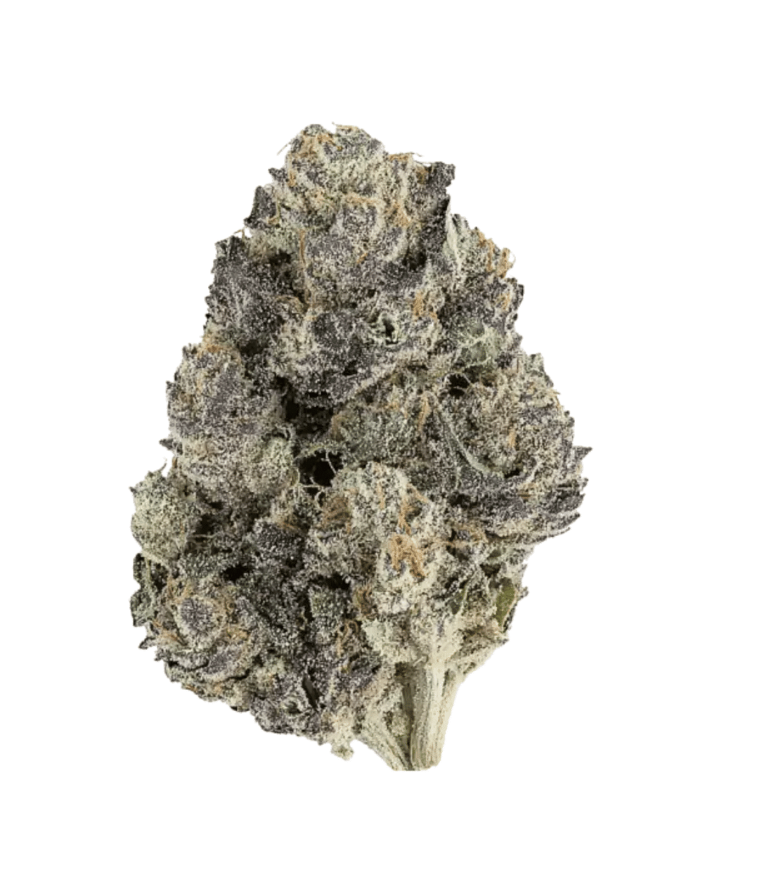 Cherry Zlushie THCA Flower | Reserve Sativa – Pre-Roll