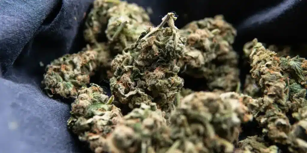 Best THCA Flower