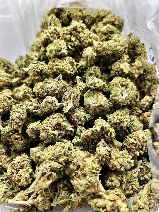 THCA Buds