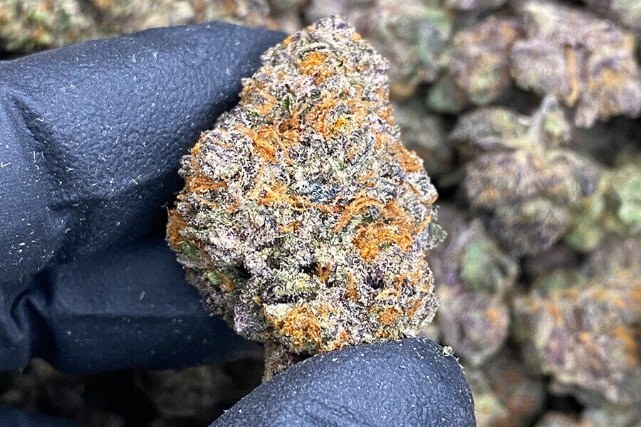 Bulk THCA Flower