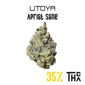Apricot Scone THCA Flower