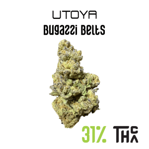 Bugazzi Belts THCA Flower