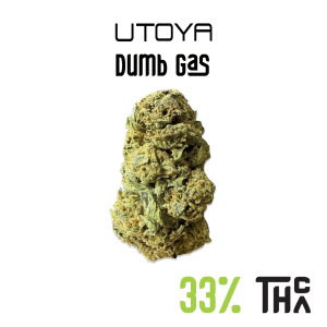 Dumb Gas THCA Flower