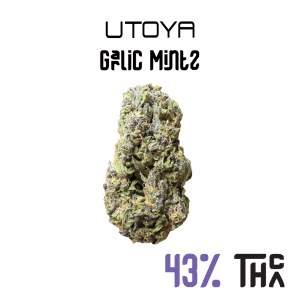 Garlic Mintz THCA Flower