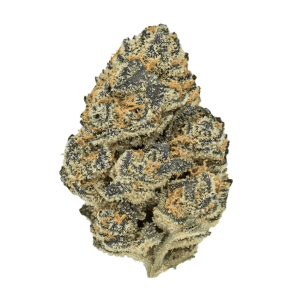 Gas Can THCA Flower