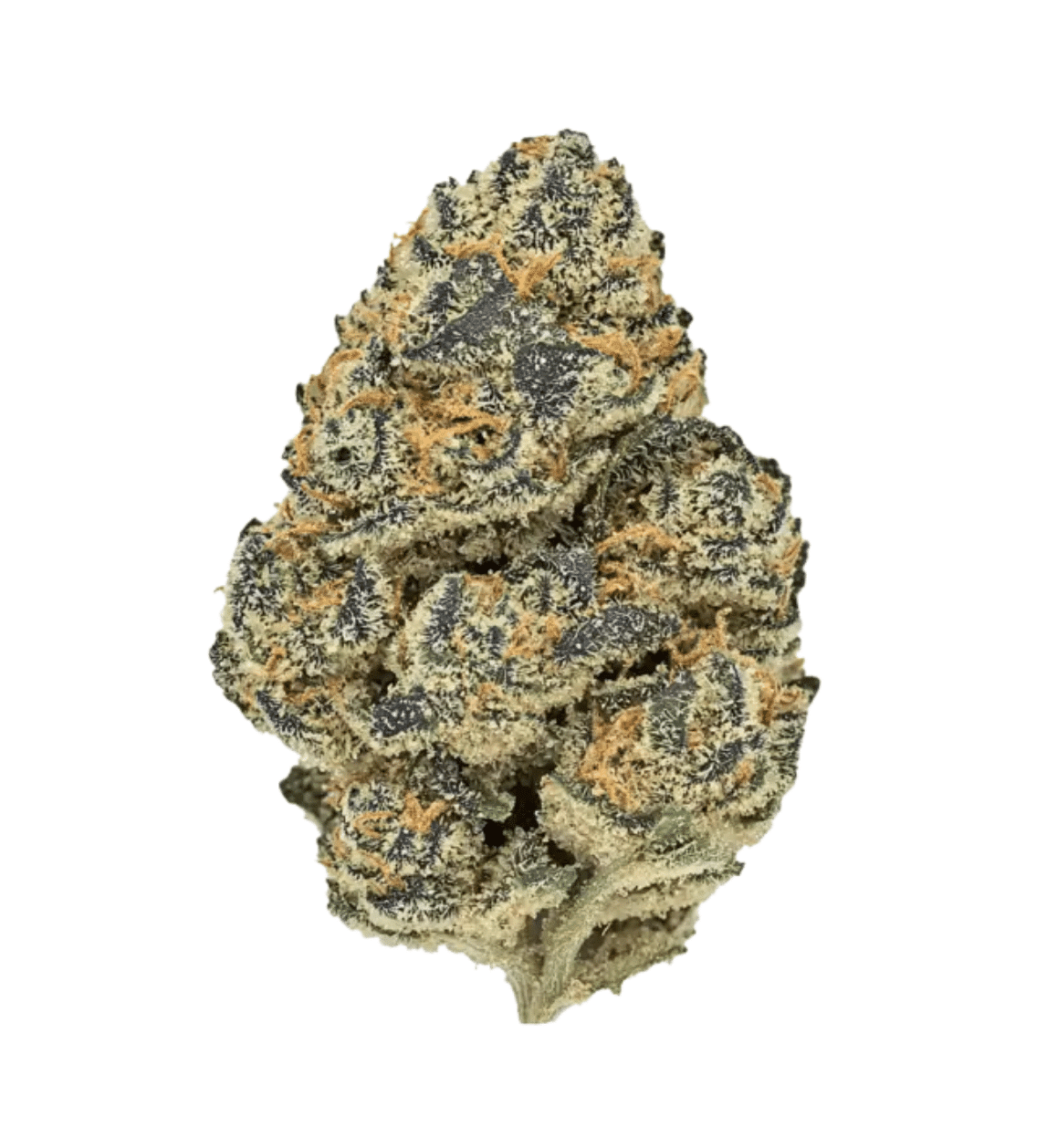 Gas Can THCA Flower | Premium Hybrid – Pre-Roll