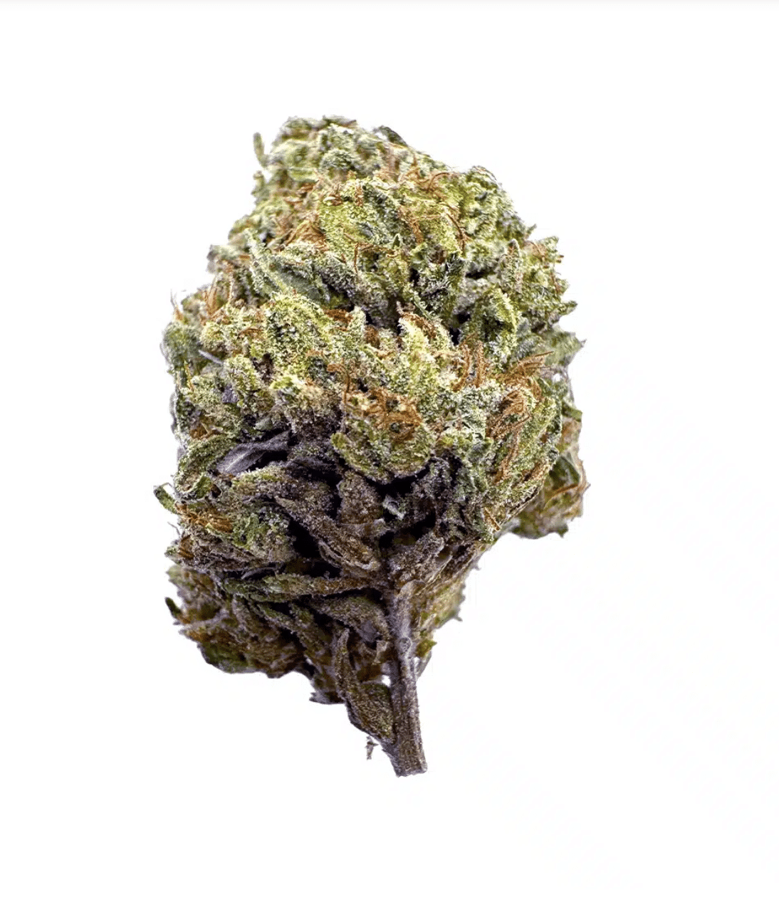 Hella Jelly THCA Flower | Premium Sativa – Pre-Roll