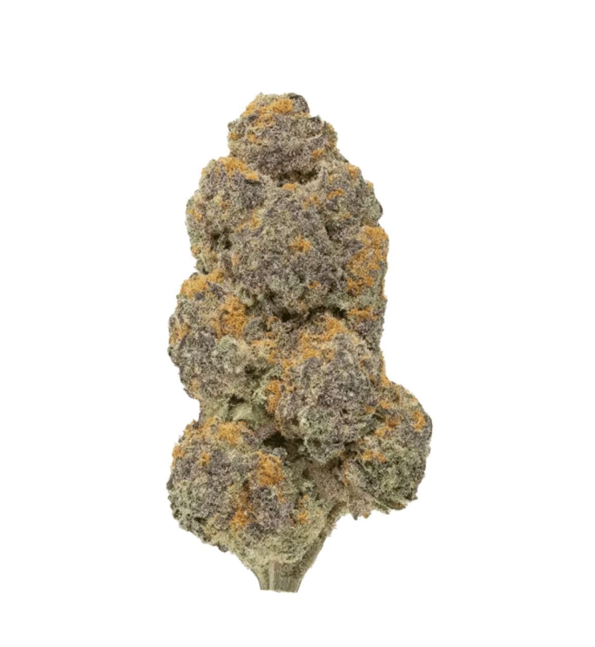 Mule Fuel THCA Flower | Classic Hybrid – Pre-Roll
