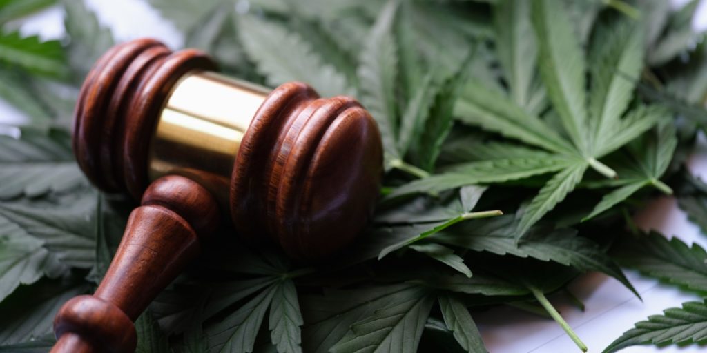 How Old Do You Have to Be to Buy THCA Legally
