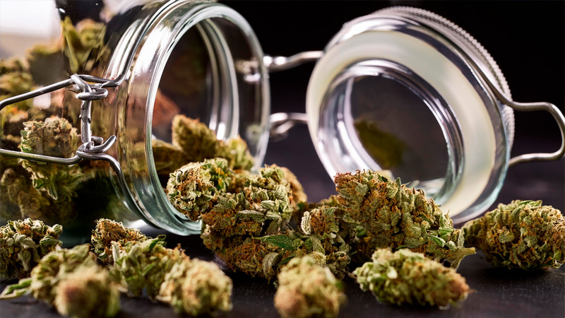 Ultimate Guide to THCA Price Shopping in Clearwater