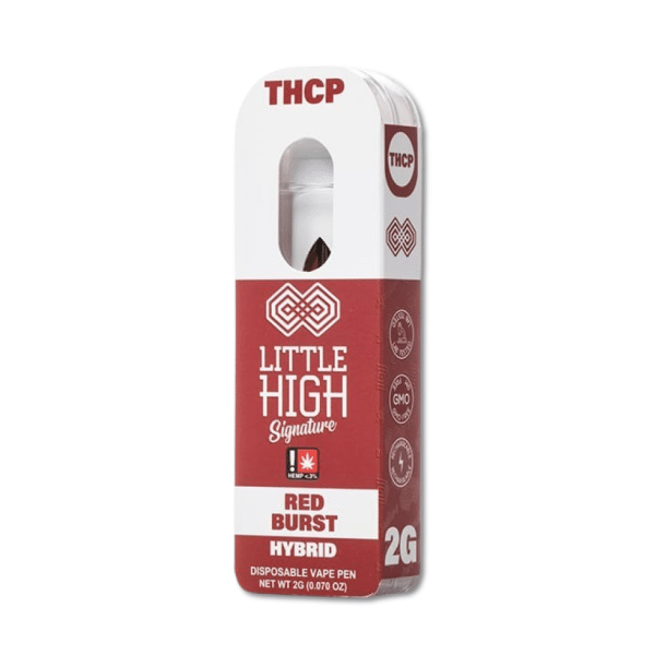 2G THCP + HD9 Disposable Vape | High Potency