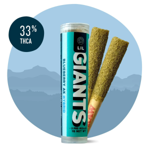 Blueberry AK Pre Rolls