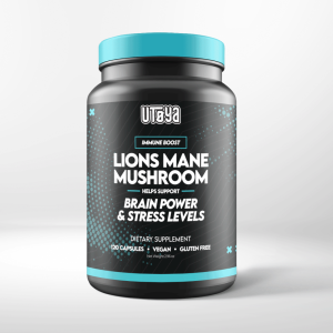 lion’s mane mushroom supplement
