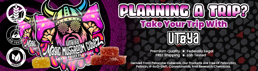 Buy Magic Mushroom Gummies Online