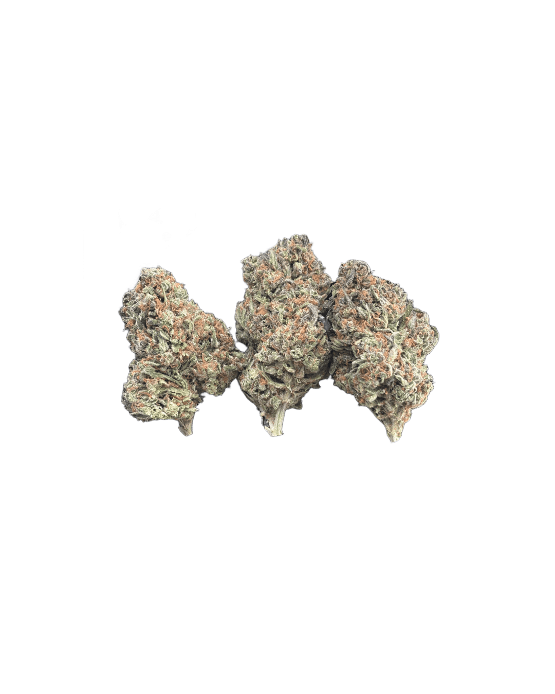 Blue Nerds flower