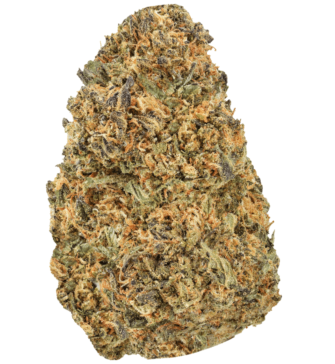 Archive Runtz THCA Flower | Reserve Hybrid – QP