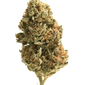 White Gummies THCA Flower | Reserve Hybrid