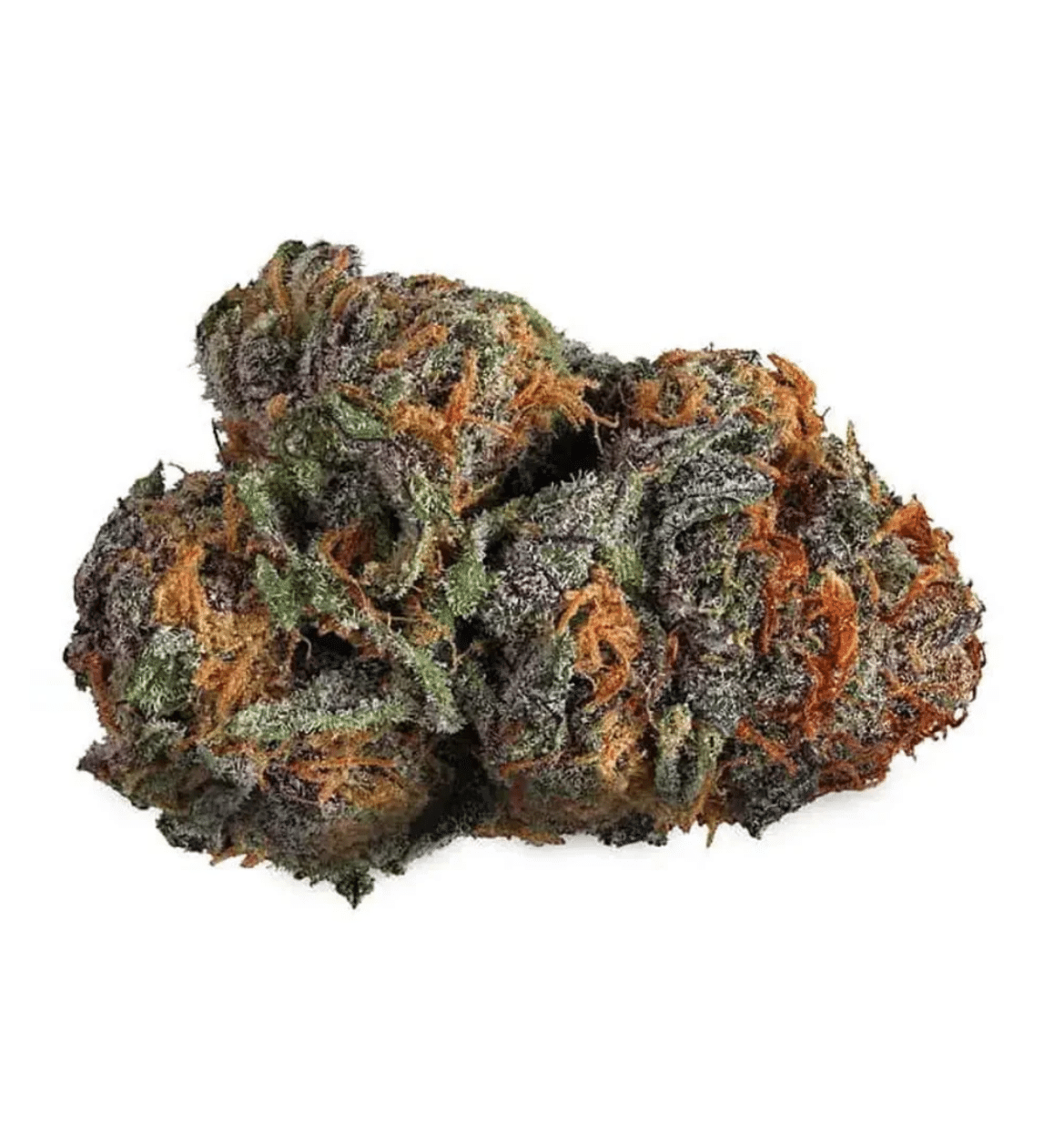 Purple Voodoo THCA Flower | Reserve Hybrid – QP