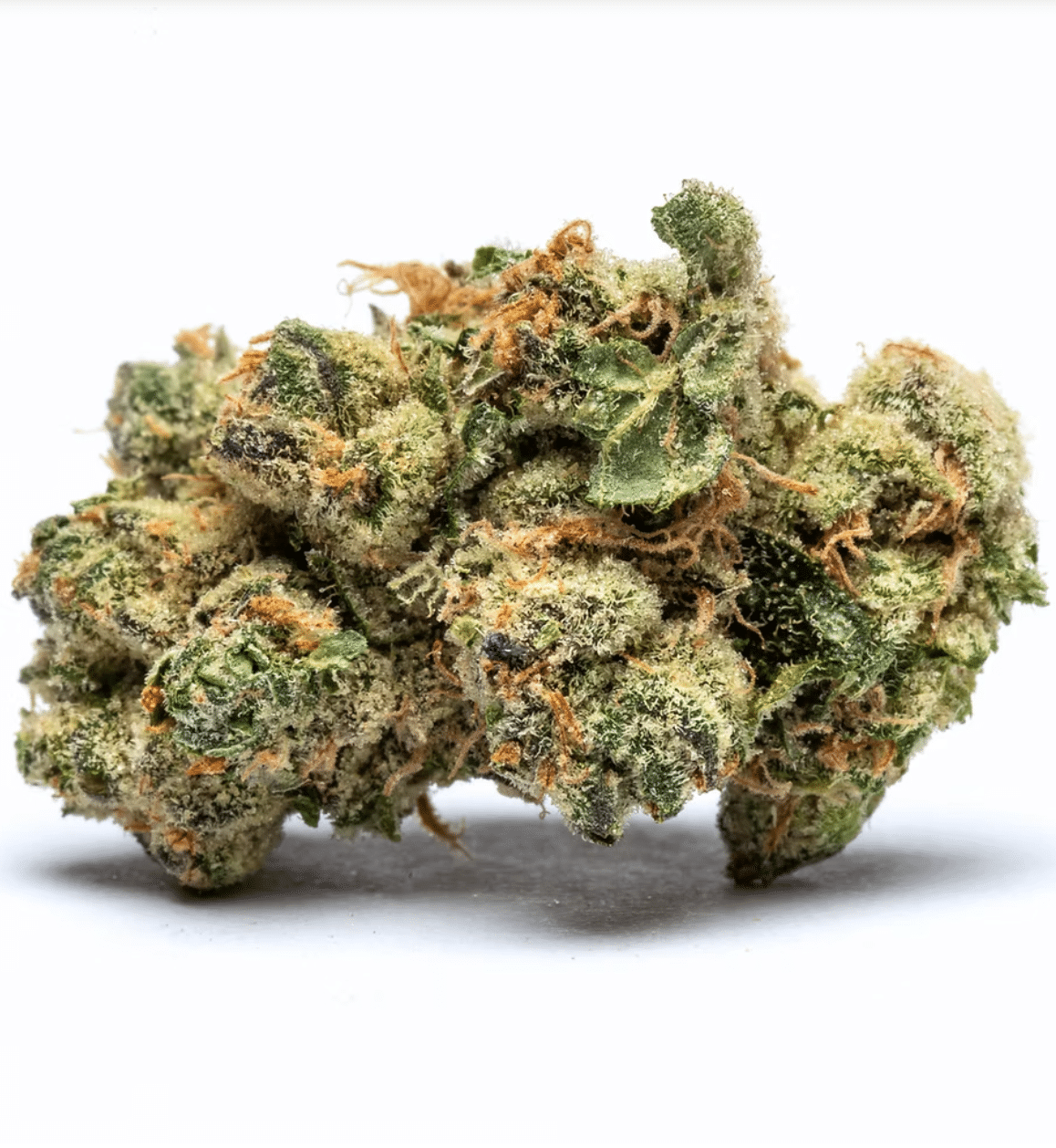 Limoncello THCA Flower | Premium Hybrid – QP