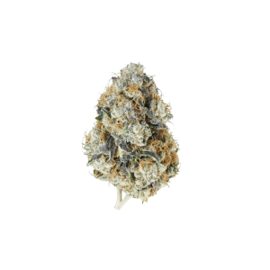 Gary Payton THCA Flower | Premium Hybrid