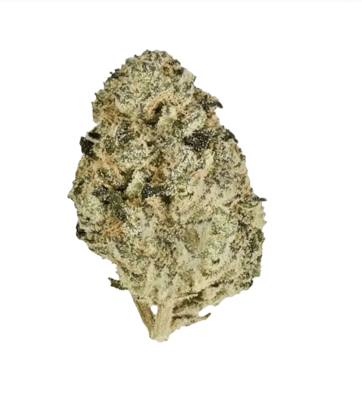Sunset Sherbet THCA Flower | Value Indica – QP