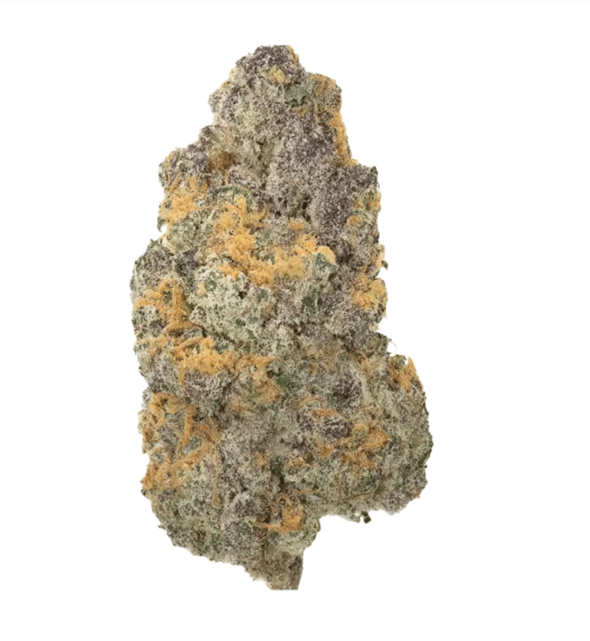 Girl Scout Cookies — Utoya