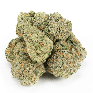Biscotti Sherb THCA Flower | Value Indica