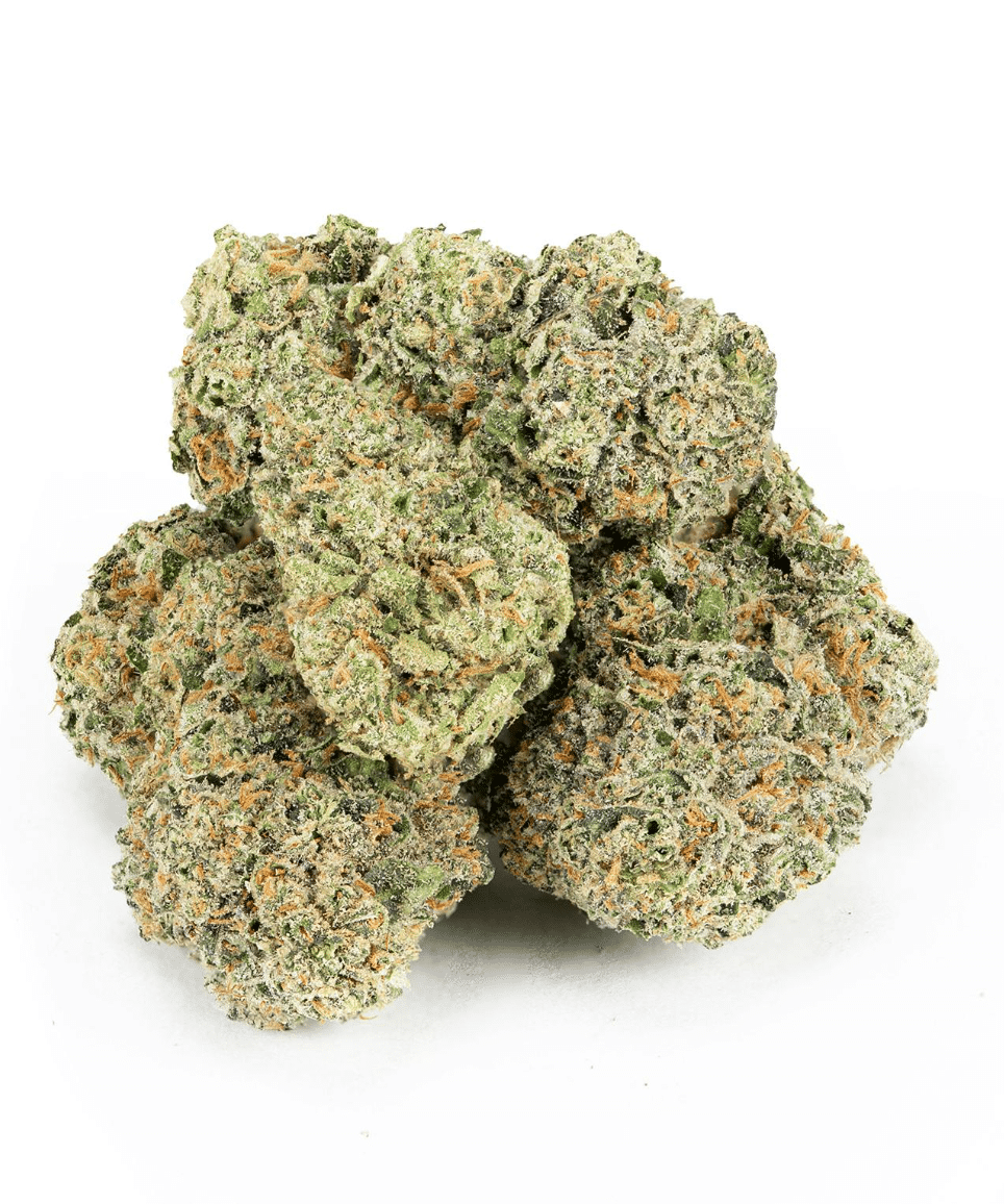 Biscotti Sherb THCA Flower | Value Indica – QP