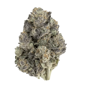 Cherry Zlushie THCA Flower | Reserve Sativa