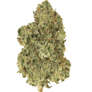 Jack Herer THCA Flower | Value Sativa