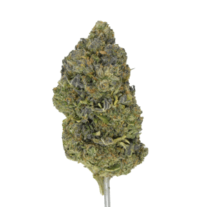 Venom Runtz THCA Flower | Reserve Hybrid
