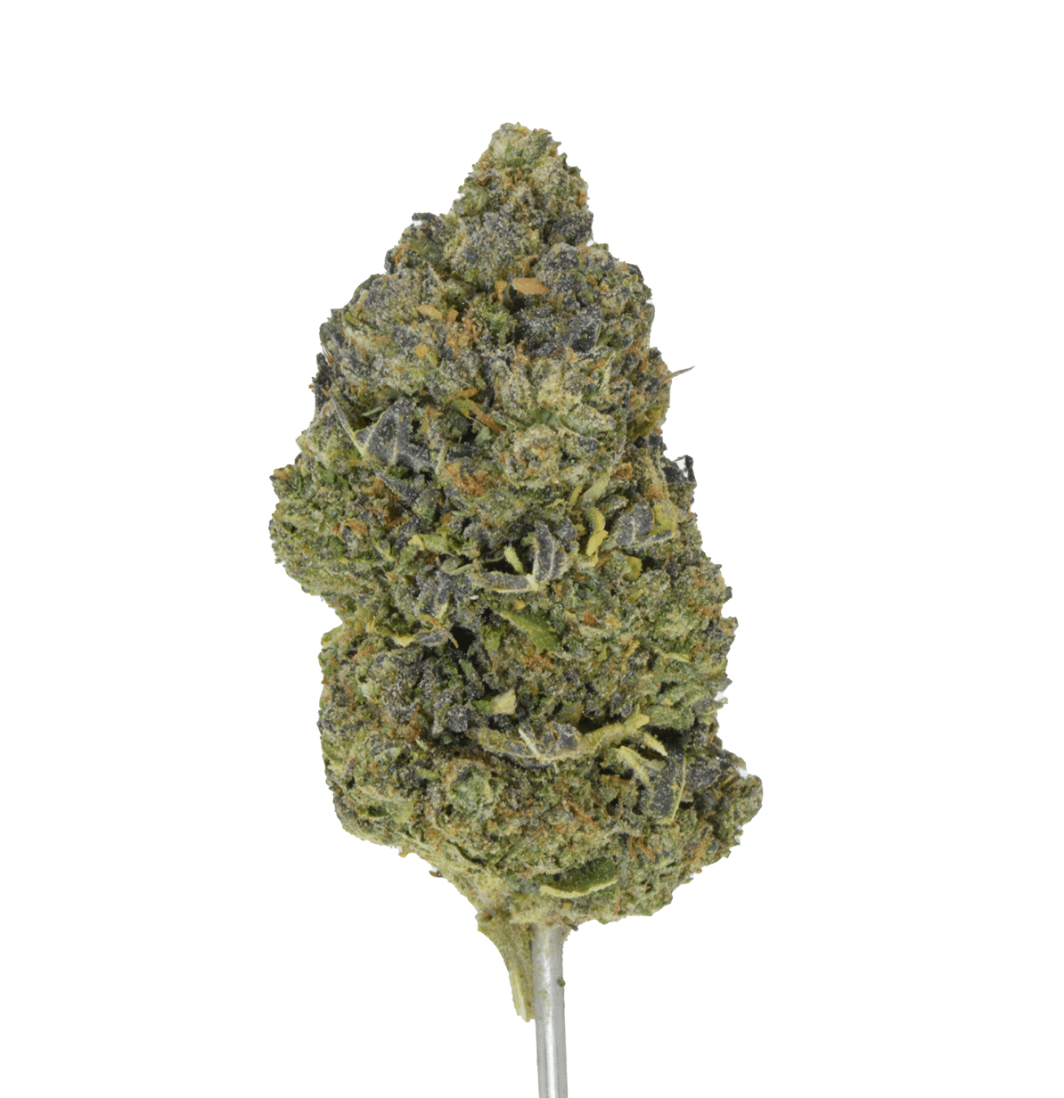 Venom Runtz THCA Flower | Reserve Hybrid – QP
