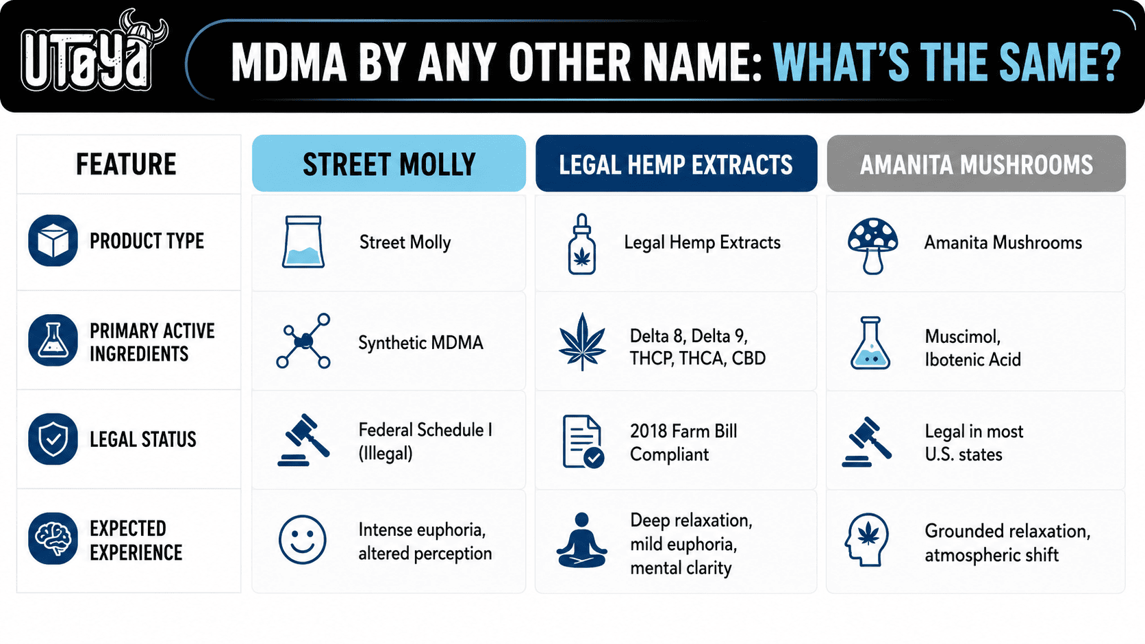 Comparison infographic showing the differences between street Molly (MDMA), legal hemp extracts, and Amanita mushrooms, including product type, active ingredients, legal status, and expected effects.