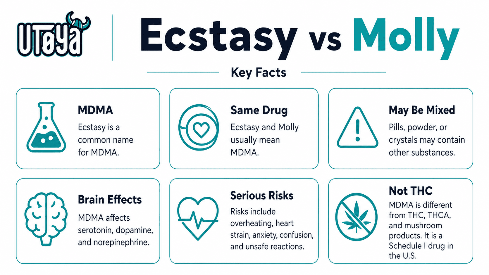 Ecstasy vs Molly infographic explaining MDMA, possible mixed substances, brain effects, serious risks, and how MDMA differs from THC.