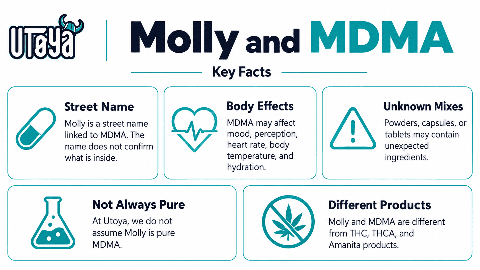 Molly and MDMA key facts infographic explaining body effects, unknown ingredients, purity risks, and differences from THC, THCA, and Amanita products.