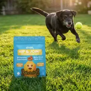 Sivan Hip + Joint Pet Treats