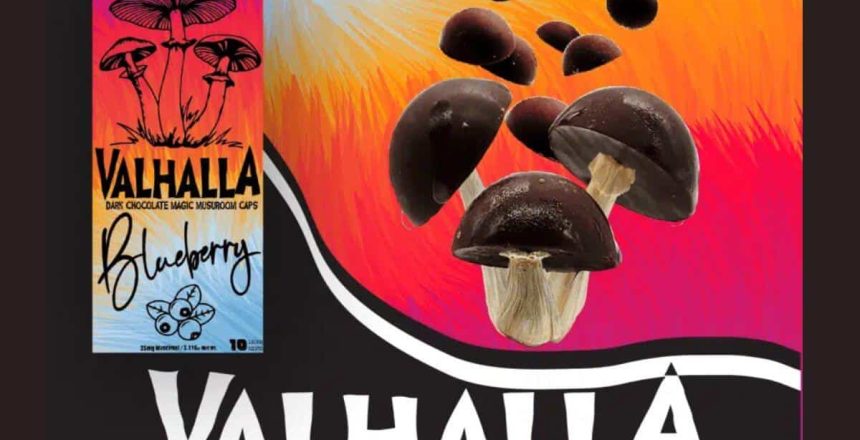 Amanita Chocolate